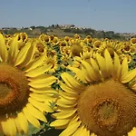 Agroturismo Pieve Del Castello