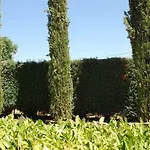 Pieve Del Castello Agroturismo