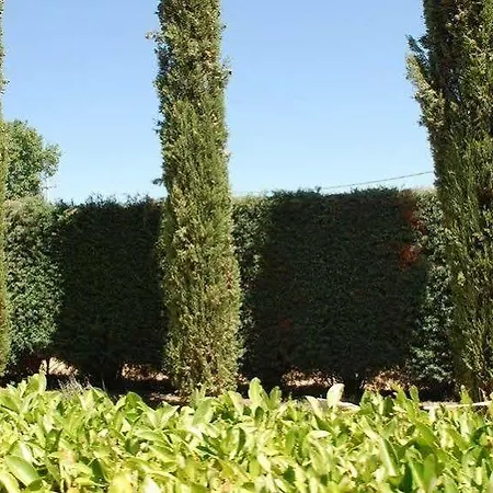 Pieve Del Castello Farm stay