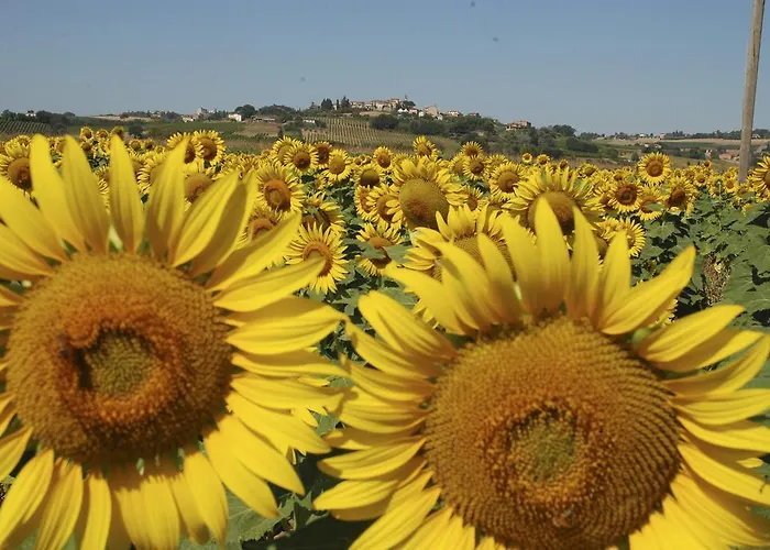Agroturismo Pieve Del Castello