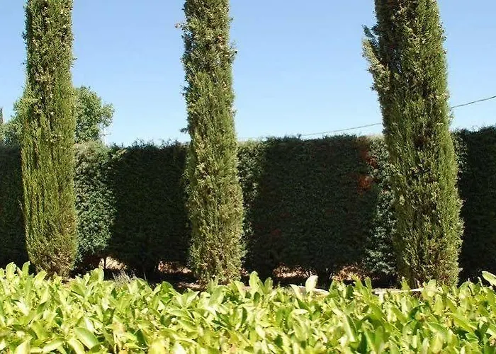 Pieve Del Castello Alojamento de Turismo Rural